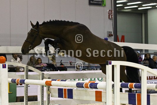 HEY DAY HOPPER_MILANO_2010_SS3_1468.jpg